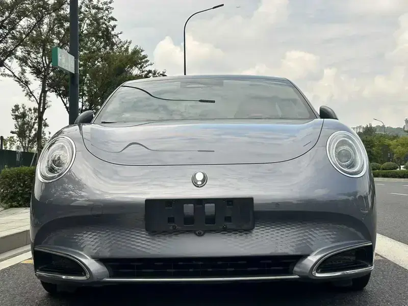 2022 Ora Lightning Cat с пробегом 93 000 км