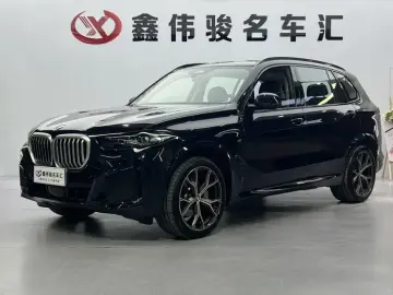BMW X5 New Energy(Imported)