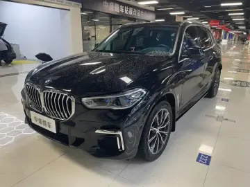 BMW X5 New Energy(Imported)