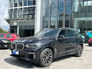 BMW X5 New Energy(Imported)