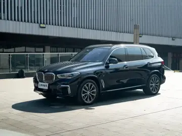 BMW X5 New Energy(Imported)
