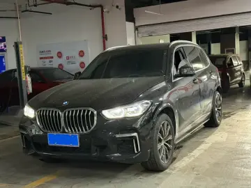 BMW X5 New Energy(Imported)
