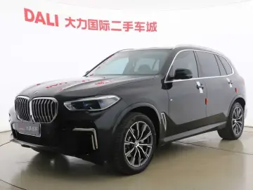 BMW X5 New Energy(Imported)