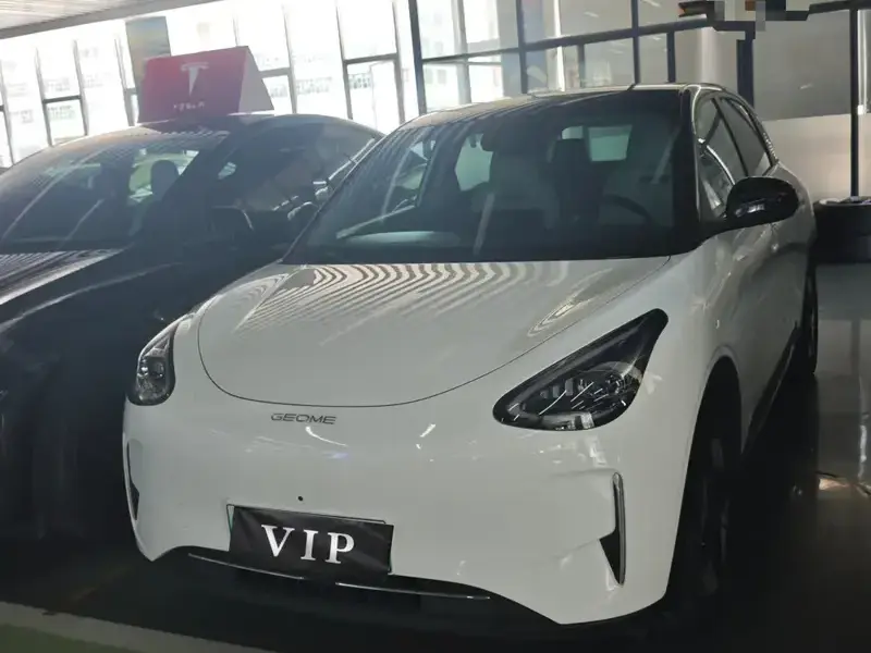 2025 Geely Starry Wish с пробегом 4 800 км