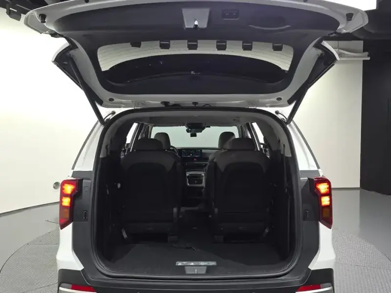 2025 Kia Carnival с пробегом 13 928 км