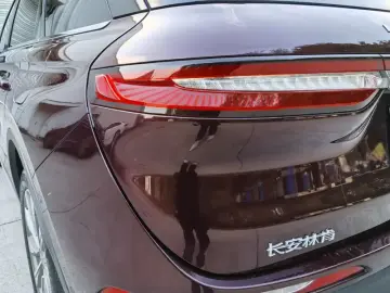 2020 Lincoln Adventurer NEV с пробегом 57 000 км