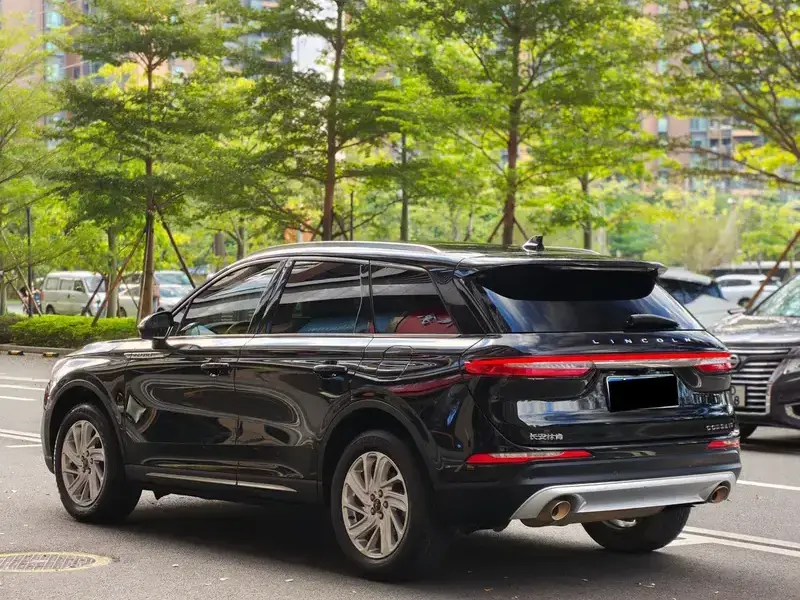 2021 Lincoln Adventurer NEV с пробегом 135 000 км