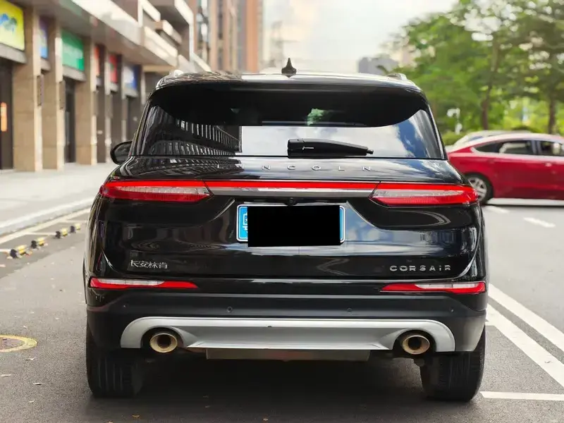 2021 Lincoln Adventurer NEV с пробегом 135 000 км