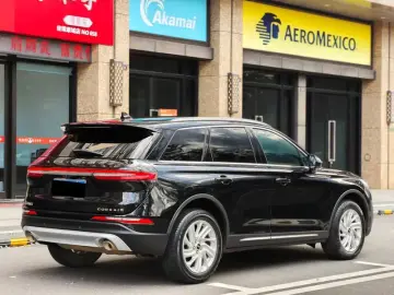 2021 Lincoln Adventurer NEV с пробегом 135 000 км