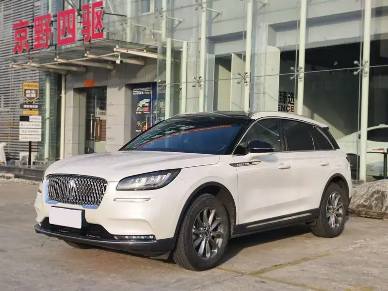 2021 Lincoln Adventurer NEV с пробегом 82 000 км