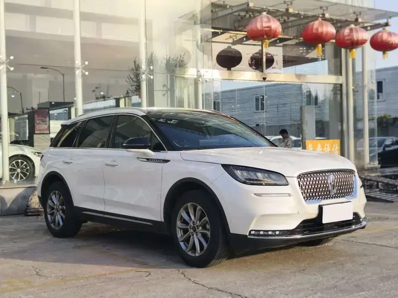 2021 Lincoln Adventurer NEV с пробегом 82 000 км