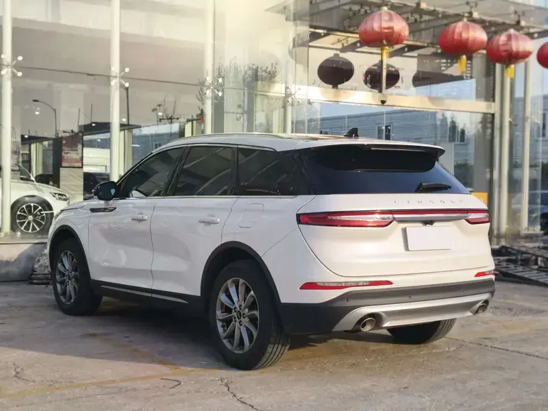 2021 Lincoln Adventurer NEV с пробегом 82 000 км