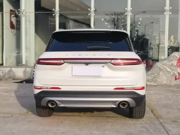 2021 Lincoln Adventurer NEV с пробегом 82 000 км
