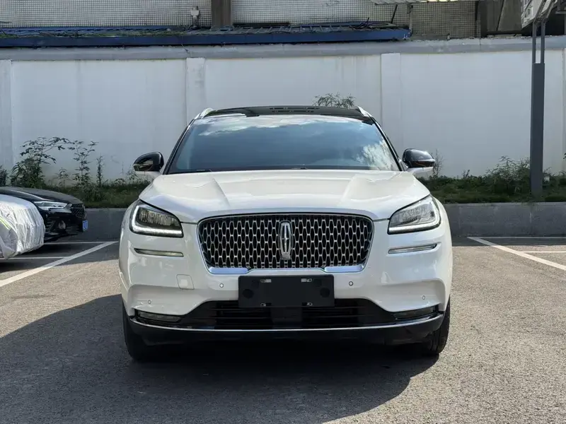 2022 Lincoln Adventurer NEV с пробегом 74 700 км