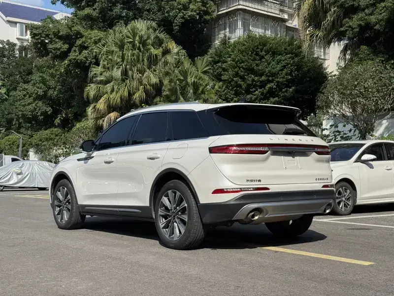 2022 Lincoln Adventurer NEV с пробегом 74 700 км