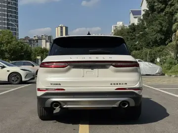 2022 Lincoln Adventurer NEV с пробегом 74 700 км