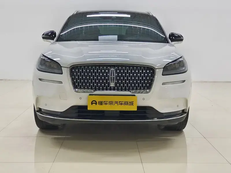 2021 Lincoln Adventurer NEV с пробегом 116 900 км