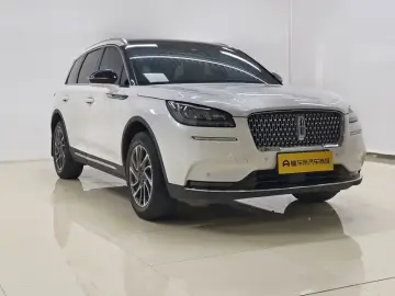 2021 Lincoln Adventurer NEV с пробегом 116 900 км