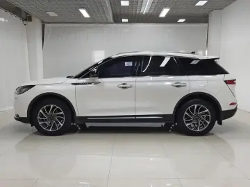 2021 Lincoln Adventurer NEV с пробегом 116 900 км
