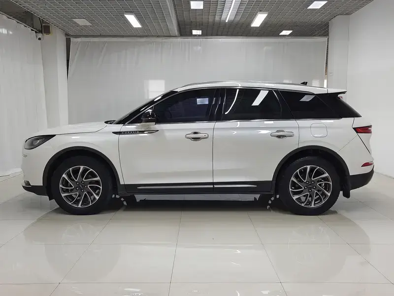 2021 Lincoln Adventurer NEV с пробегом 116 900 км