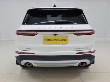 2021 Lincoln Adventurer NEV с пробегом 116 900 км