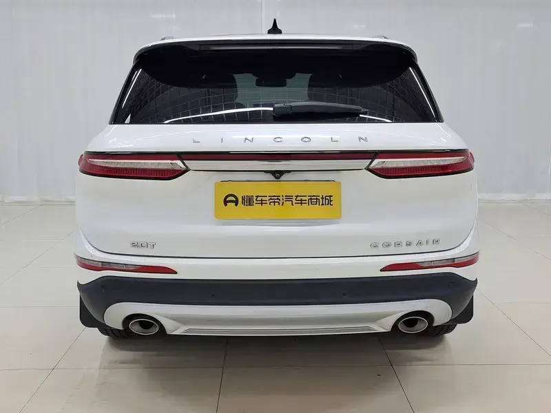 2021 Lincoln Adventurer NEV с пробегом 116 900 км