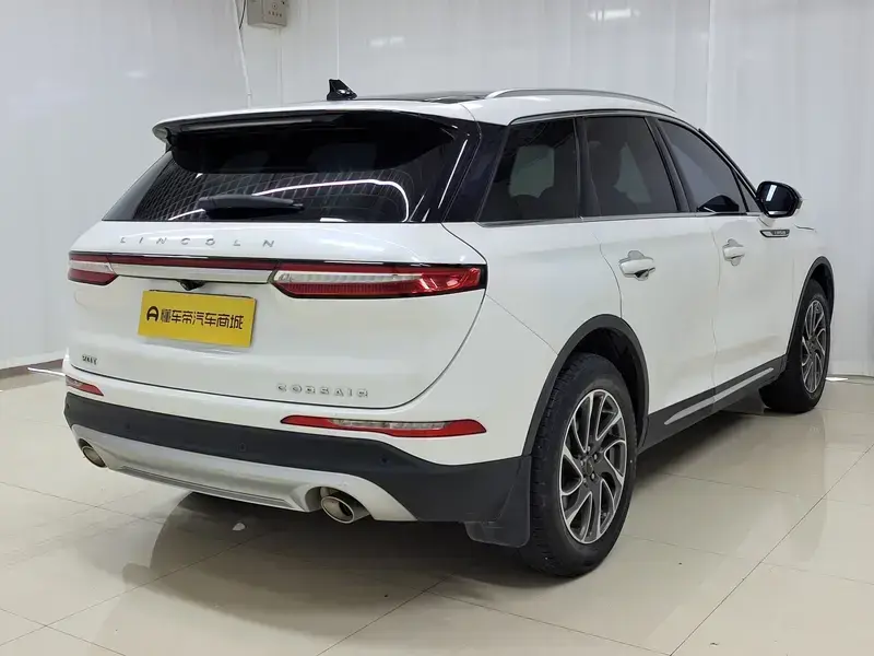 2021 Lincoln Adventurer NEV с пробегом 116 900 км