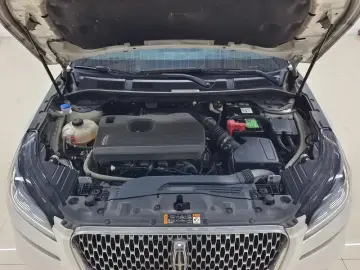 2021 Lincoln Adventurer NEV с пробегом 116 900 км
