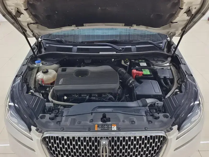 2021 Lincoln Adventurer NEV с пробегом 116 900 км