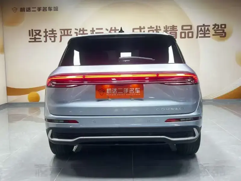 2023 Lincoln Adventurer NEV с пробегом 57 000 км