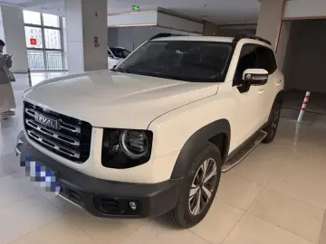 Haval Second-Generation Big Dog New Energy