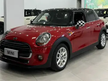 Mini New Energy (Imported)