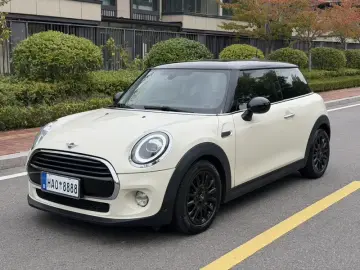 Mini New Energy (Imported)