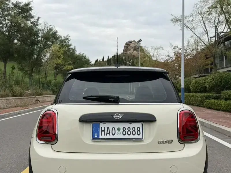 2018 Mini New Energy (Imported) с пробегом 80 000 км