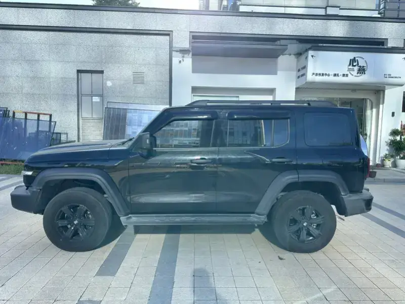 2024 Tank 300 с пробегом 30 000 км