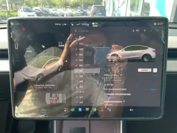 2025 Tesla Model Y с пробегом 34 000 км