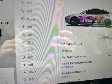 2025 Tesla Model 3 с пробегом 30 000 км