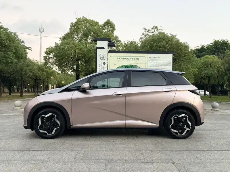 2021 BYD Dolphin с пробегом 80 000 км