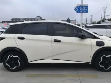 2021 BYD Dolphin с пробегом 110 000 км