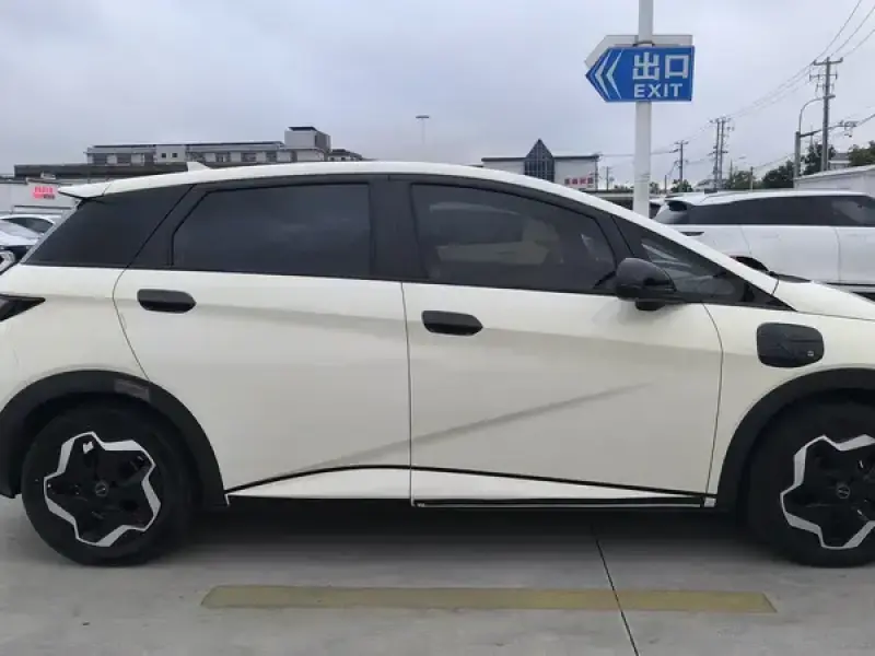2021 BYD Dolphin с пробегом 110 000 км