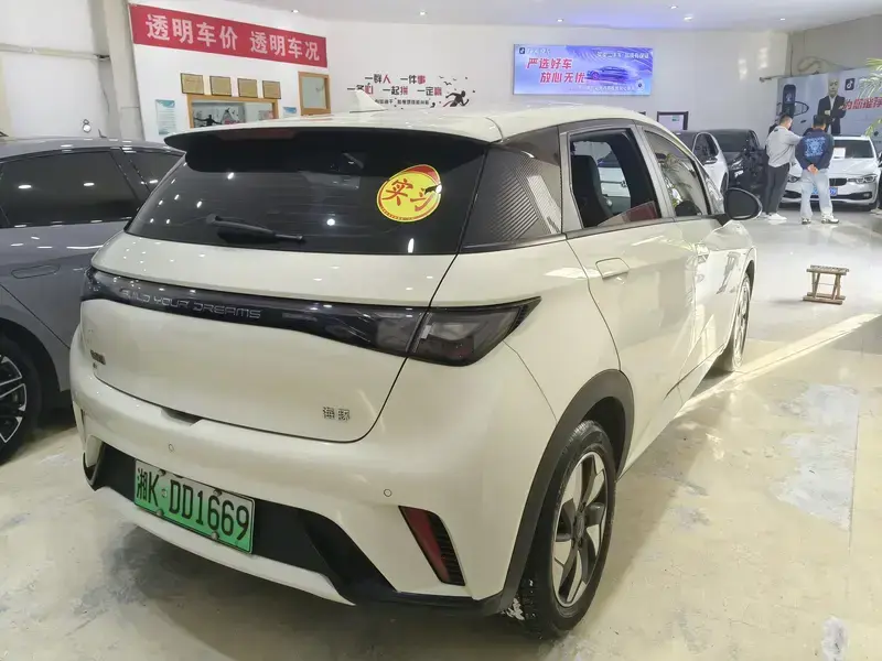 2025 BYD Dolphin с пробегом 16 000 км