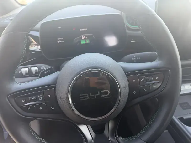 2025 BYD Dolphin с пробегом 4 200 км