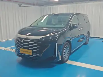 BYD Xia (M9)
