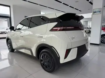 2026 BYD Seagull с пробегом 700 км