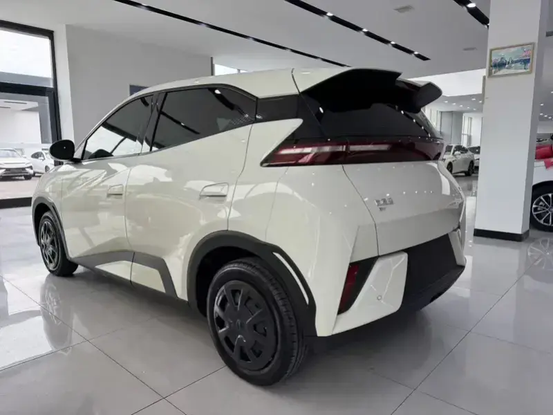 2026 BYD Seagull с пробегом 700 км