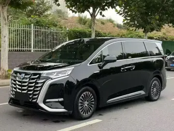 Denza D9