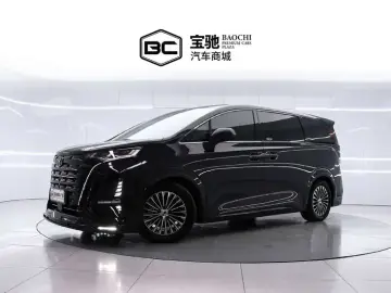Denza D9