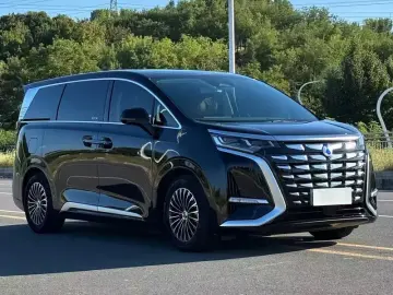 Denza D9