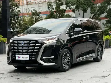 Denza D9