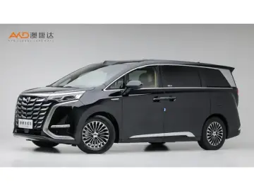 Denza D9
